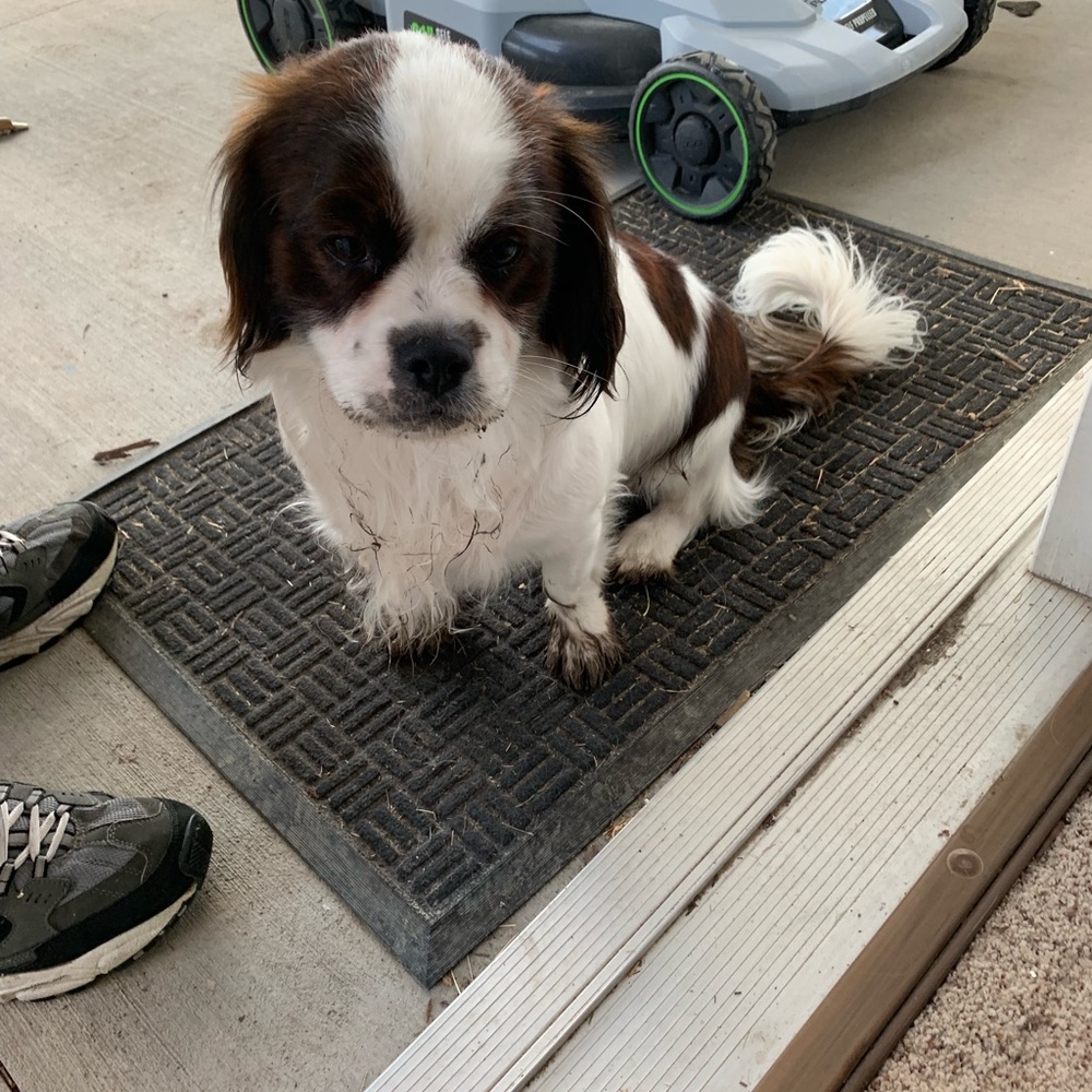 Meet your Posher, Daryce